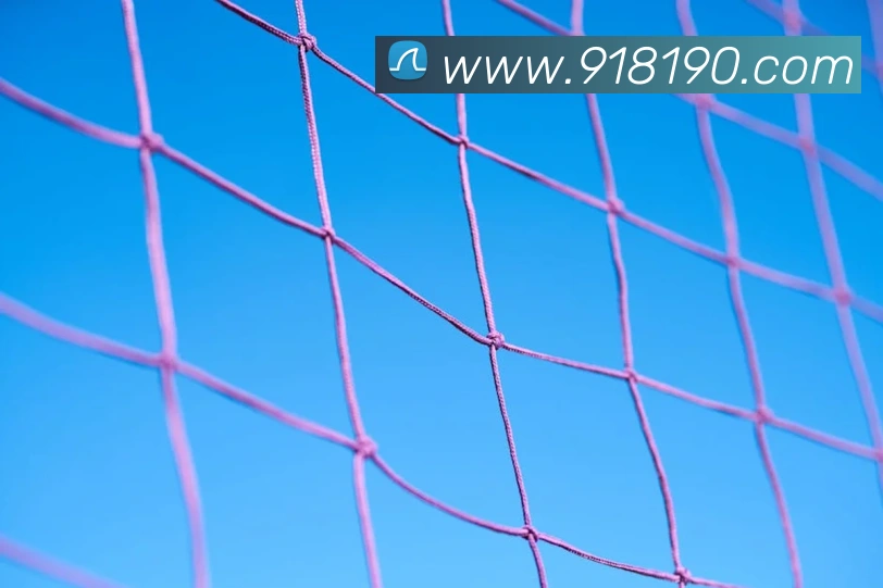 奖项图2
